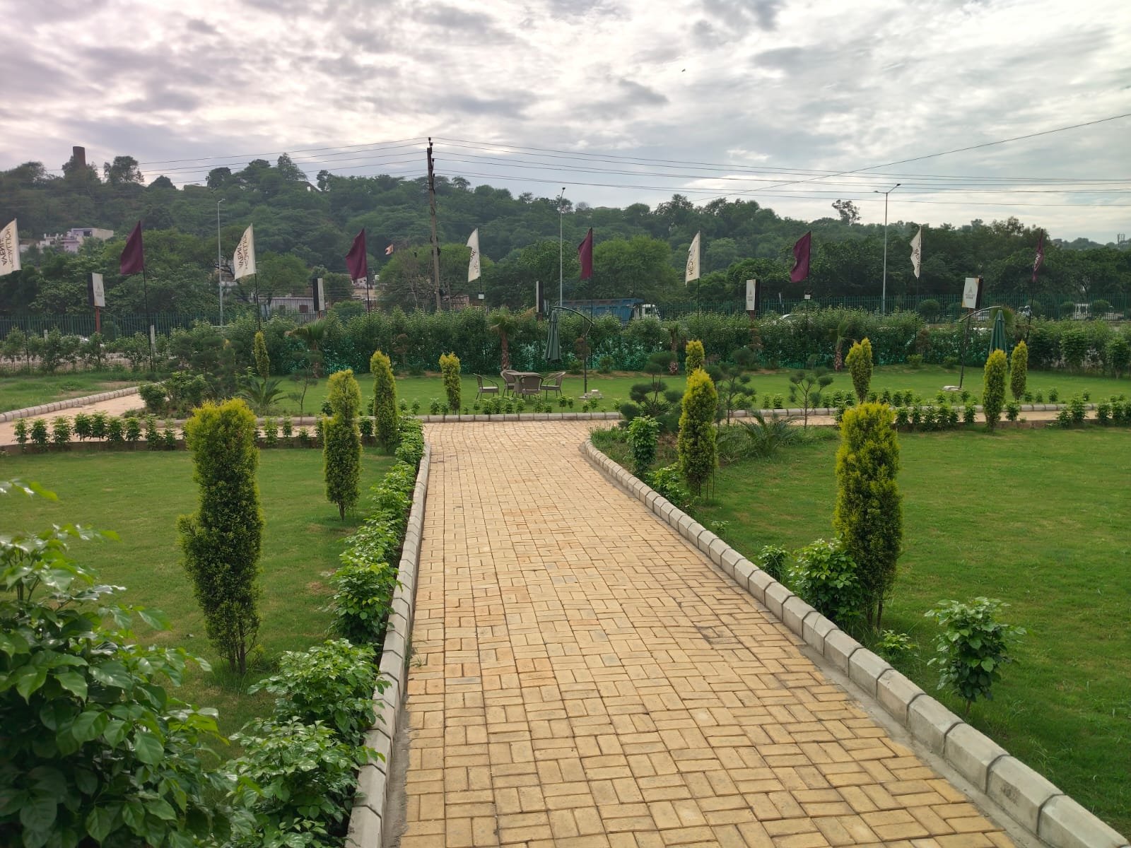 Medallion Avenue